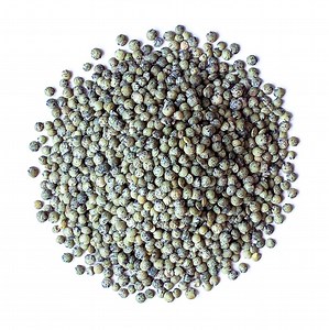 Organic French Green Lentils Buy in Bulk from Food to Live