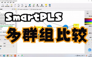 SmartPLS多群组比较