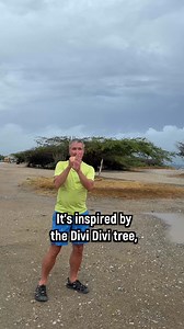 Sign for Aruba? 🌴 Inspired by the island’s iconic vibes. 🇦🇼 #JoelTravel #NoBarriers #DeafNation #Deaf #Aruba #SignLanguage #TheArubaEffect | Joel Barish