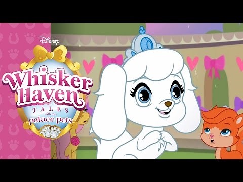Disney Palace Pets 2 in Whisker Haven - Cinderella's Pet Pumpkin (New Game for Kids)