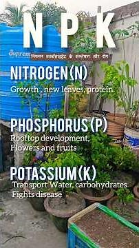 WHAT IS NPK #npk #npk_fertilizer