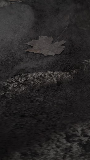 Ground PBR Materials & Dry LeavesAvailable now on CGAxisUnlimited: freePlans: 120 creditsOne-time purchase | CGAXIS