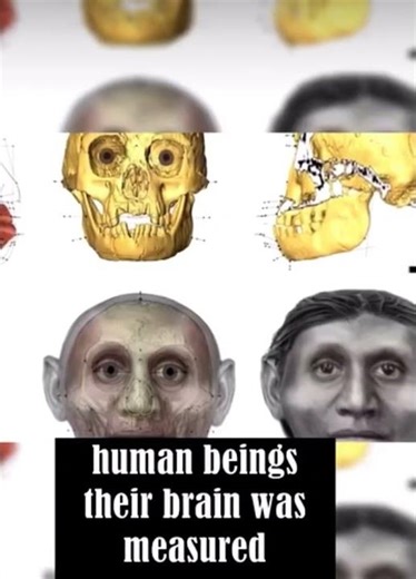 “Flores Man 🧑‍🔬—a tiny human species. Evolution from apes or a medical mystery? 🤔👀”