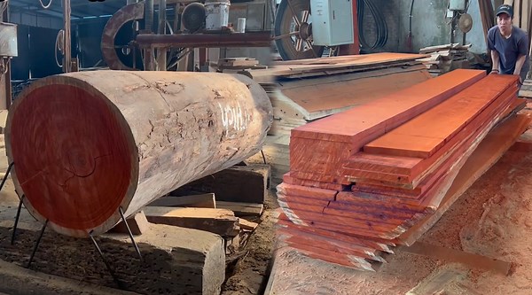 The Magic Of Latest Wood Cutting Robotic Machines