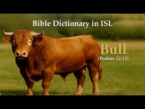 Bull | Bible Dictionary | Indian Sign Language