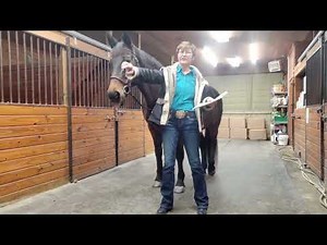Western Dressage Test Tips - Basic Test 3