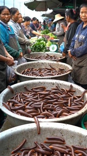 Exploring Traditional Asian Markets: Unique Foods and Fresh Produce.