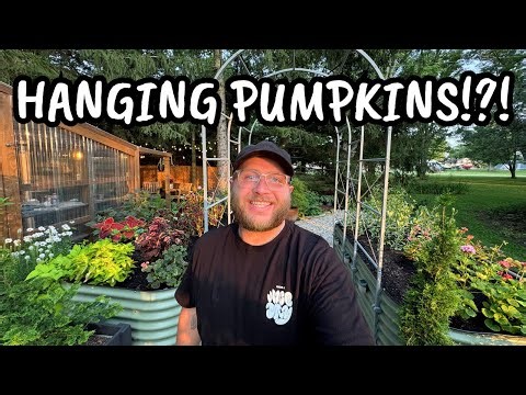 Pumpkins in the Sky: Growing Vertically + Greenhouse Flower Planting