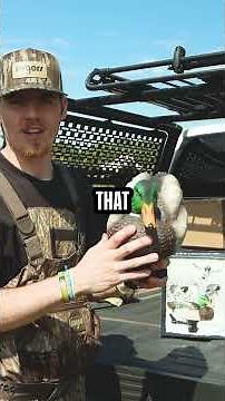 Why You NEED the Lucky Duck Swimmer 2.0!