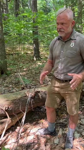 Tree tracking? Enjoy this powerful tool for increasing your awareness. Part 1 | Michael Douglas