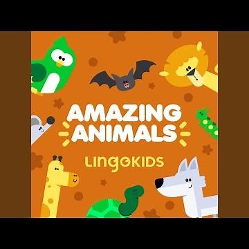 Baby Animals Song
