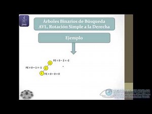 42 - Árboles Binarios de Búsqueda AVL, Rotación Simple a la Derecha (EDDJava)