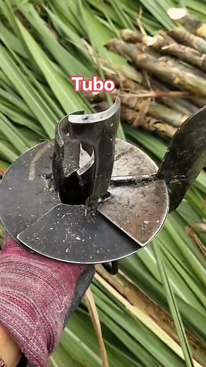 Tol #viral | Eroll Crisostomo