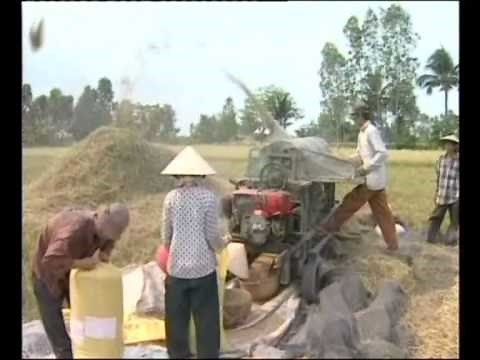 Mekong Delta fish, farms and families /by Mekong River Commission