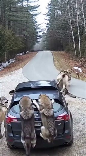 This Was Caught on a Security Camera 📹😱