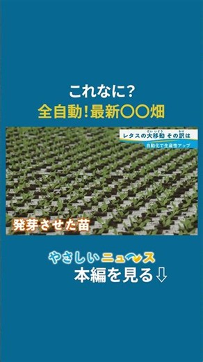A Moving Lettuce Field? [Latest Smart Agriculture]