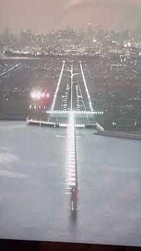 【ANA】夕刻の羽田空港A滑走路へ着陸の様子を機内モニターで撮影 #Shorts