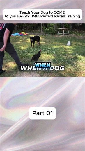 #dog #trainingdog #k9 #dogtraining | dog