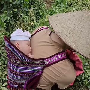 559K views · 10K reactions | Visiting the Kind Woman Again. Single Mother Harvesting Peanuts at Her Ex-Husband's House | Poor Villager | Facebook