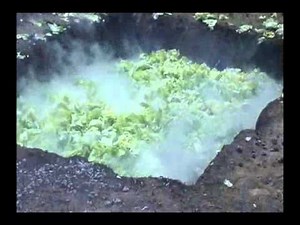 How To Cook A Hawaiian Luau Pig!