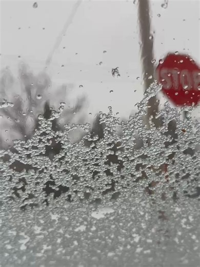 SEVERE WEATHER HQ 🧊❄️: Sleet piles up on a car window in Traverse City, Michigan, as a life-threatening bomb cyclone blizzard impacts the area. Stay with FOX Weather for the latest on this severe storm. #foxweather #severeweather #winter