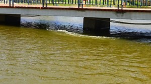 Watch Remote Control Boat for Kids and Adults on Amazon Live