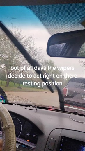 Wipers Malfunction on the Wrong Day