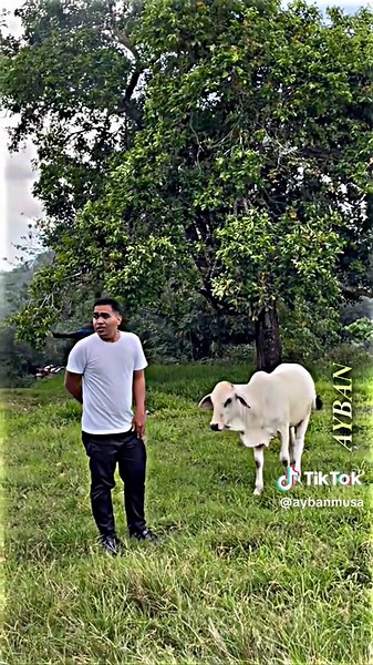 More Paba Moments: Fun and Laughter Compilation