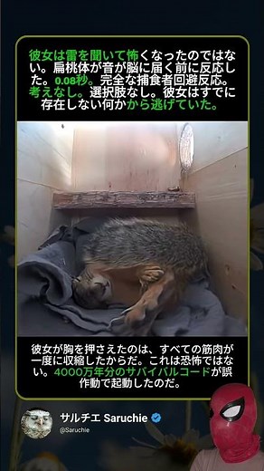 扁桃体が0.08秒で体全体を動かした — 思考より速く