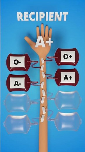 Which blood type is compatible with yours #blood #recipient #donor #compatibility #infographic