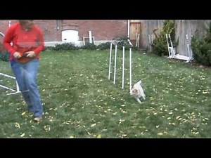 Skeeter 2x2 Weave Training Part 1