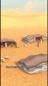 The term Bedouin refers to a group of people who lives in the Middle East and North Africa who originated in the Arabian Peninsula. In particular, the Bedouin practiced the nomadic pastoralist way of life: they raised camels and other livestock for grazing. While best known for the traditional life of camel-herding, most Bedouin people today live in permanent settlements. Today, there are about 25 million Bedouin people. #poweroafrica #africa | Power Of Africa | Facebook