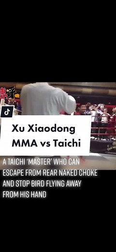 MMA Xu Xiaodong vs Taichi master, where Xu’s life began to change #xuxiaodong #mma #taichi #leilei #foryou