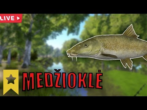 MEDŽIOJAM TROFĖJUS PER 2 ACCOUNTUS!🥶👑