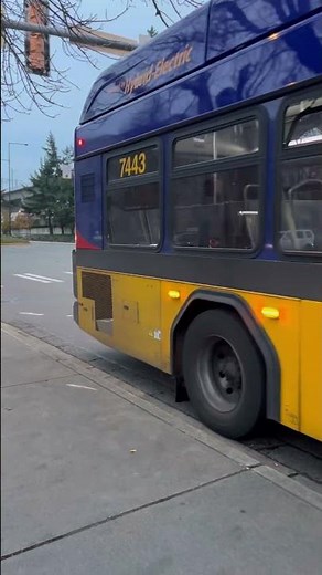 King County Metro 2019 Gillig Low Floor 40’ HEV #7443 On Line 161