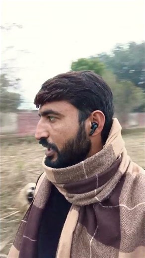 Fresh feeling for goats #goat #farming #business #pakistan #trending #naat #beautiful