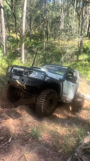 Summer Wheeling Adventures with Rebuild Insights