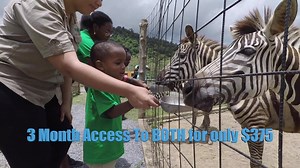 Be sure to ask us about our THREE MONTH PASS!!! Get Unlimited access to two of Trinidad's premiere parks, IJUMP and Safari Eco Park!!! | Safari Eco Park