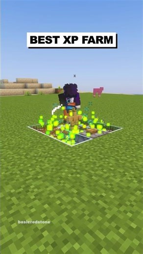XP Farm 1.21.6