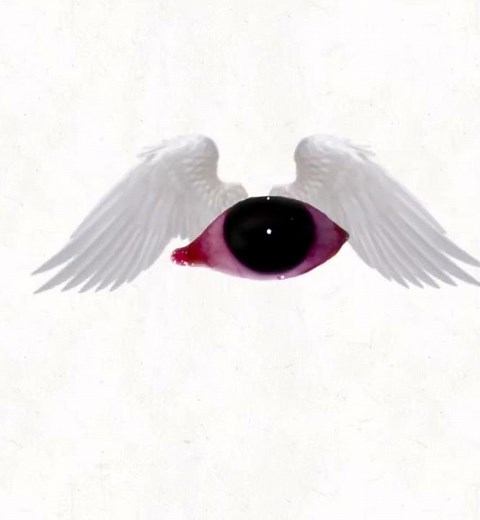 Weirdcore eye angel fly cycle #weirdcore