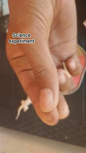 experiment to the match stick