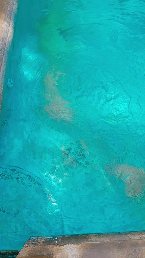 3.2K views · 31 reactions | Ven y disfruta en nuestra hermosa piscina de basketball | La Casa de la Hacienda... Museo y Parque Acuatico | Facebook