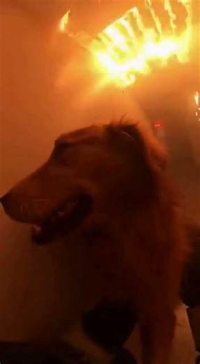 Through the Smoke – Third Floor Rescue Caught on Body Cam