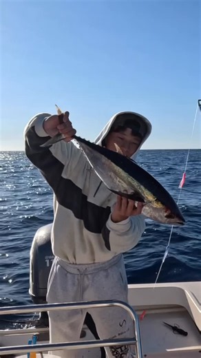 Elika Bang on Instagram: "Fresh ahi never disappoints [ catch n cook: black fin tuna ] Fish always taste better when you go out there and catch em yourself, always hits different. Next time you have the opportunity to eat some fresh ahi try this poke recipe. FULL VIDEO ON MY YOUTUBE‼️ Go follow @elikabang on Snapchat, I’ll be posting more of my day behind the scenes #offshorefishing #fishing #blackfintuna #catchandcook"