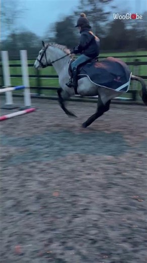 Horse Fail: Rider Thrown Off During Rotational Fall at Jump || WooGlobe