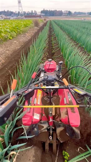 #shortvideo #sorts #tractor #japan #farming