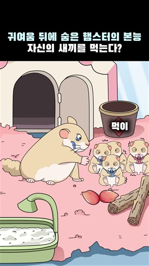 귀여움 뒤에 숨은 햄스터의 본능 자기 새끼를 먹는다? #animation #만화 #funpage #동물 #햄스터 #hamster #먹방 #먹방브이로그 #먹방asmr #먹스타그램