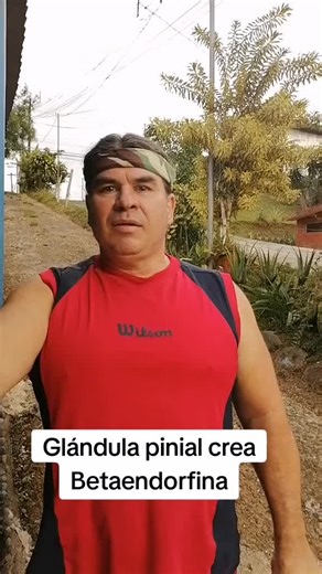Receta para aumentar Betaendorfina y aliviar dolores
