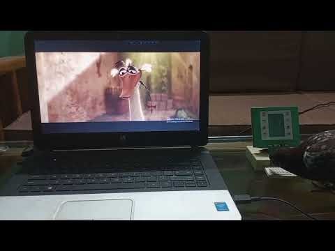 টিকির কম্পিউটার শেখা। 😑 # Tiki # Tikir computer shekha# computer # Pigeon # funny shorts# কবুতর।