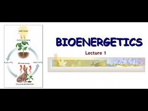 Bioenergetics and Gibb's Free energy Lecture 1